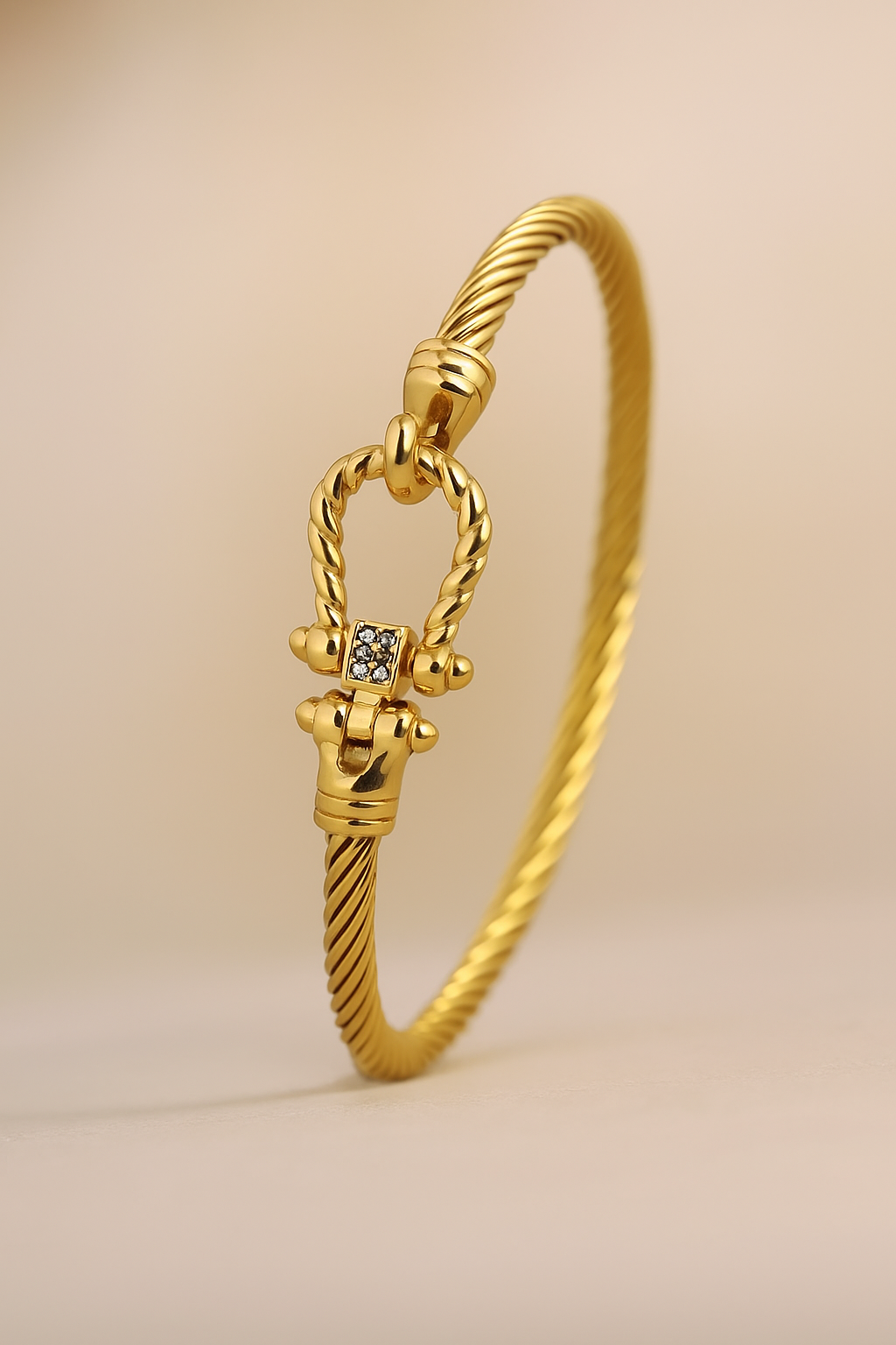 Titanium Twist Buckle Bracelet